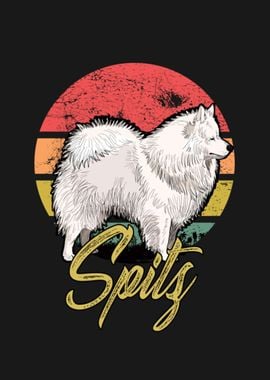 Spitz