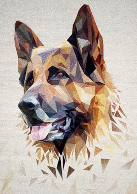 German Shepherd 