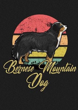 Bermese Mountain Dog