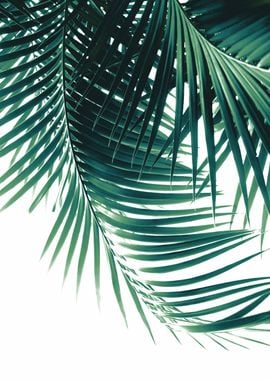 Palm Leaves Green Vibes 4