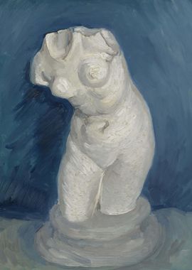 PlasterTorso female in 