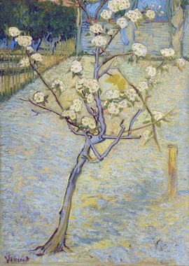 Pear Tree in Blossom 1888