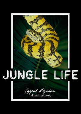 Carpet Python Jungle Life