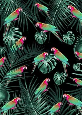 Parrots in the Jungle 1