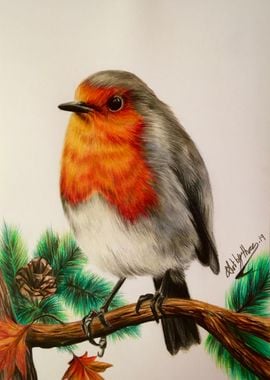 Robin Redbreast