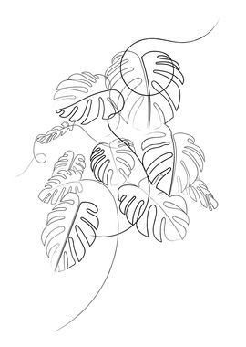 Cheese Plant Line Drawing