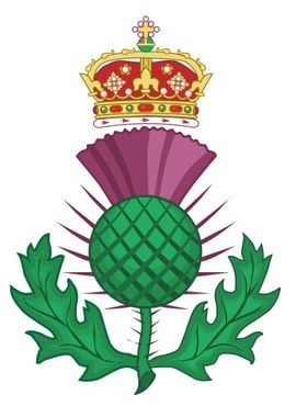 Thistle Symbol Of Scotland