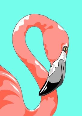 Flamingo Bird