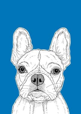 French Bull Terrier