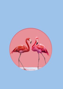 Flamingos in a circle