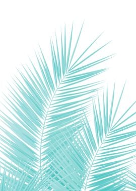 Soft Turquoise Palms 1