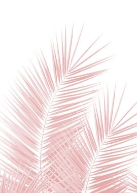 Blush Pink Palm Leaves 1