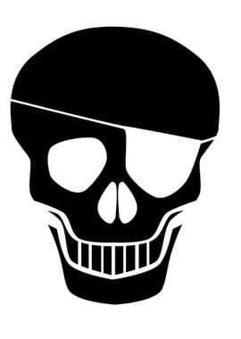 Black Skull Silhouette