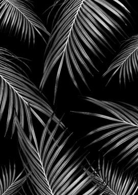 Silver Gray Black Palms 1