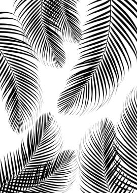 Palms Black White Vibes 2