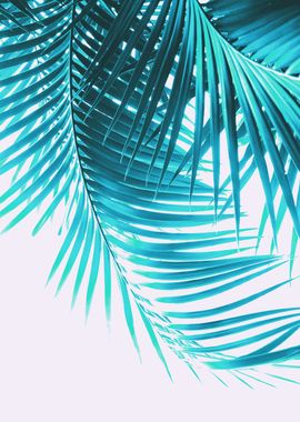 Palm Leaves Turquoise 1