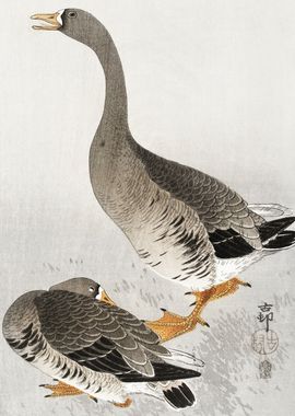 Two Geese Japanese woodcut