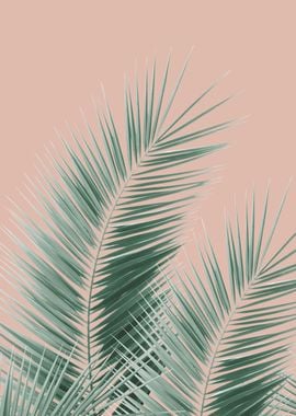 Soft Green Palm Leaves 1