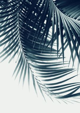 Palm Leaves Green Blue 2