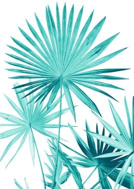 Fan Palm Leaves Jungle 3