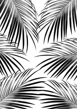 Black Palm Leaves Dream 2