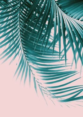 Palm Leaves Summer 1