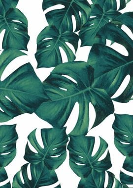 Monstera Leaves Pattern 3