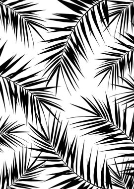 Palm Leaves Finesse 3