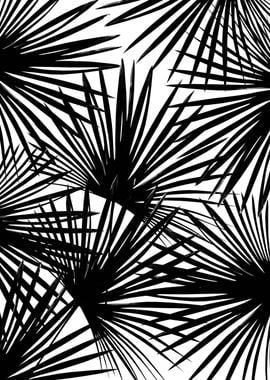 Tropical Fan Palm Leaves 2