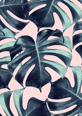 Tropical Monstera Leaves 3