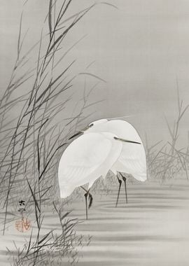 Egrets in swamp woodblock 