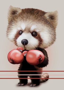 RED PANDA BOXER