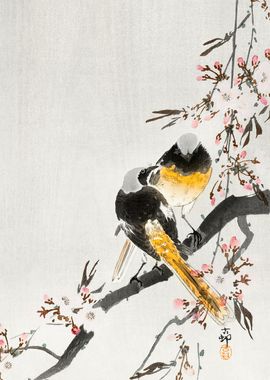 Birds on cherry tree print