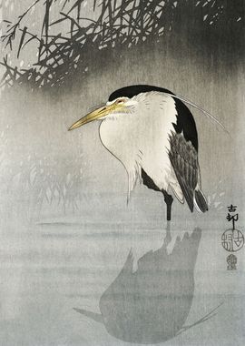 Heron in swamp water print