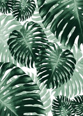 Tropical Monstera Jungle 1