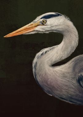 Heron