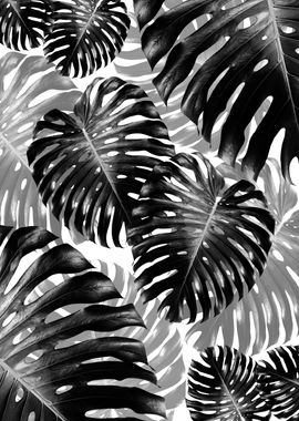 Tropical Monstera Jungle 3