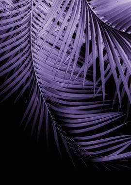 Palm Leaves Ultra Violet 1