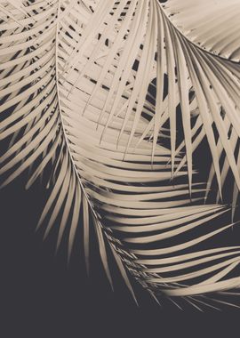 Palm Leaves Sepia Vibes 1