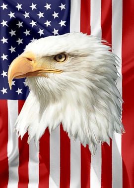 American Eagle Flag 15