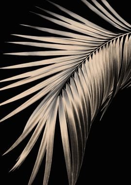 Palm Leaf Dream 1