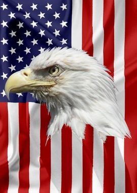 American Eagle Flag 16