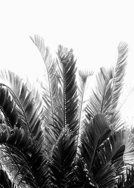 Tropical Leaves Dream 3