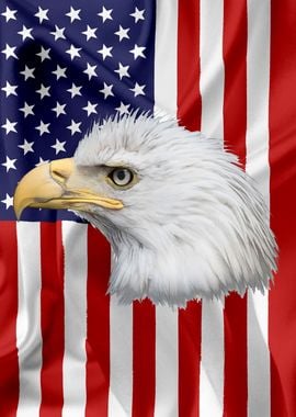 American Eagle Flag 12