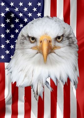 American Eagle Flag 14