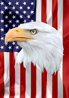 American Eagle Flag 02