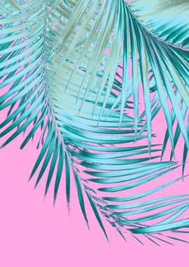 Palm Leaves Pink Blue 1