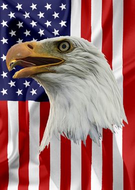 American Eagle Flag 06