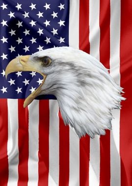 American Eagle Flag 05