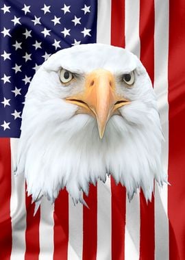 American Eagle Flag 03